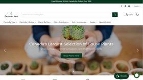 Shopify store design: online plant retailer