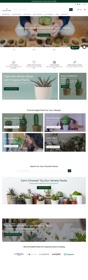 Shopify store design: online plant retailer