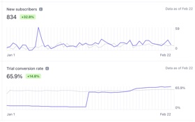 Stripe report from a project we maintain that shows business success having business with us