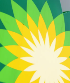 Working with the Top Clients