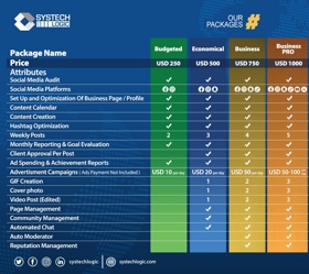 Digital Marketing Package we offer at Systechlogic