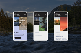 We recently undertook a custom WordPress web design project for a valued French client. Their specific requirement was a highly customized website.