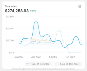 Facing challenges in generating online sales after transitioning from Magento to Shopify, this retail client sought our assistance midway to help.