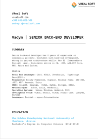 CV of our potential Candidate (.NET)