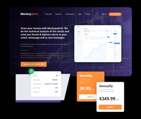 A web app-based platform created to help individuals and businesses alike achieve financial success. 