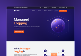 An example product, or solution subpage.