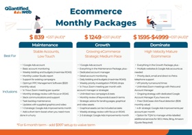Ecommerce packages for stable, growing, or high-velocity stores, with tailored Google Ads support, strategy, and tools from $839 to $4999+GST/month.