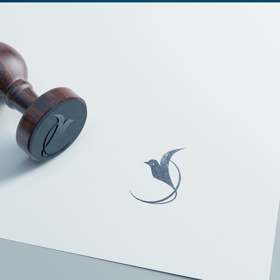 Logo for NGO Discoverd Spaces