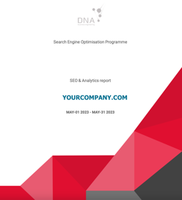 REPORTING - Every month your see how your keywords have moved, content activity and ranking by competitor + lots more