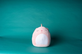 Product photography on color