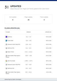 Sample Updates page of the report.
