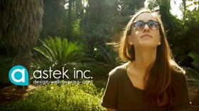 Astek Promo Video
A day-in-the-life of Astek Inc. wallpaper company.