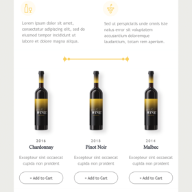 Online Alcohol e-commerce store promotional email example