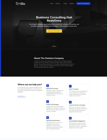 Custom Designed website for Business Consulting Company