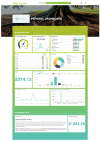 Screenshot of how a sample reporting dashboard would look like