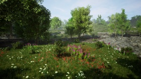 Tree Of Life  | Biofeedback project