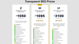 SEO project pricing examples from our website Ascendily.com