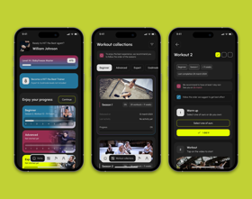 Flutterflow mobile app (low-code MVP)
