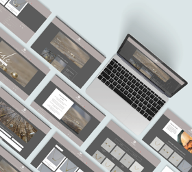 Development of a wordpress site for a jewelry store in Mexico.