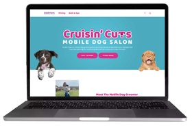 A website design packaging featuring premium SEO that got this mobile dog salon on the first page of Google within weeks!