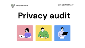 Privacy audit