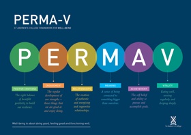 ASSESSMENT & ANALYSIS

Measure PERMA-V, the fundamental personal and professional thriving score at individual, team, and organizational level.