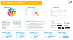 Brand Naming Exercise