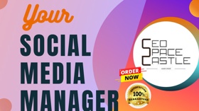 NOTE:- Please Contact me Before Purchasing my service I provide you with more than your expectations