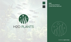 H2O Plants logo and brand guideline design