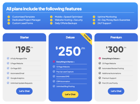 Pro Web Works pricing options