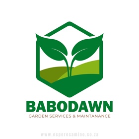 Ready to give your brand a face that wows? Our Essence of Identity Logo Design Package is all about creating a logo that's as unique as you are.