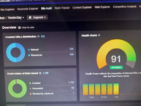 Shows another site health rank, with excellent rank of 91/100. We ensure our clients rank the best