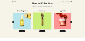 Professional ecommerce website