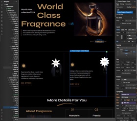 Medium tier package, professional website design.
