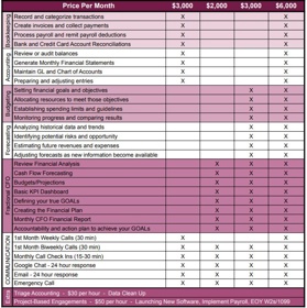 Manage financial transactions, create invoices, process payroll, reconcile accounts, audit balances, generate statements, and forecast budgets.