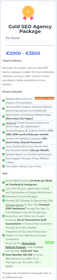 Gold SEO Agency Package