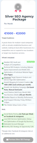 Silver SEO Agency Package