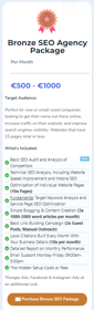 Bronze SEO Agency Package