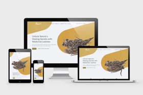 Ecommerce website for medicinal leech vendor in Tulcea.