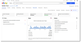 Results of eBay Stores After Working