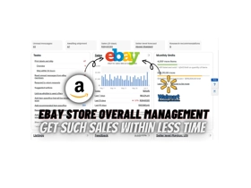 Results of eBay Dropshipping Stores After Working