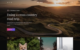 Professionally Designed Website