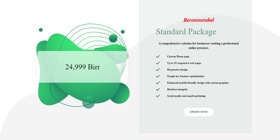 Recommended
Standard Package
A comprehensive solution for businesses seeking a professional online presence.