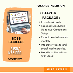 Social Media Boss package