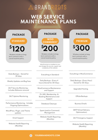 Overview of BrandRoots WordPress Monthly Maintenance Plans