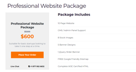 Suitable for basic startups looking to take it one step at a time.