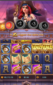 This is a game screen displaying the Pirate Queen slot game