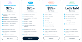 Acgile Offers The Most Pocket-Friendly Accountants For The American Clientele. 