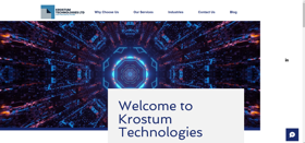 Performing our SEO strategy to rank the website.