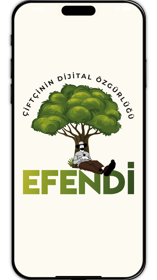 https://efendiapp.com/